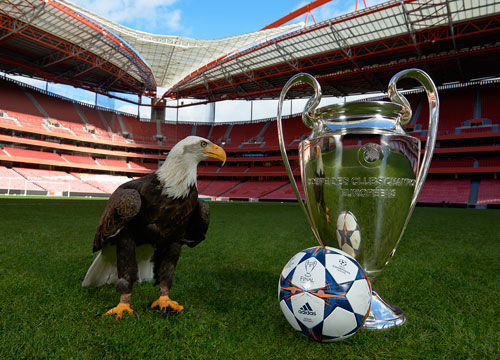 湖人缺一空 湖人缺一空